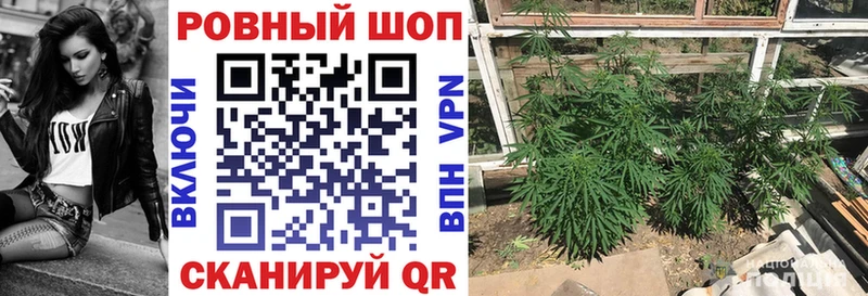 Цена Зверево Кокаин  APVP  kraken tor  Меф мяу мяу  Марихуана  Галлюциногенные грибы  МЕТАМФЕТАМИН 
