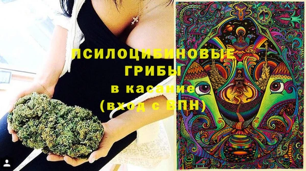 ПСИЛОЦИБИНОВЫЕ ГРИБЫ Алзамай