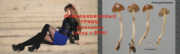 метадон Алексеевка