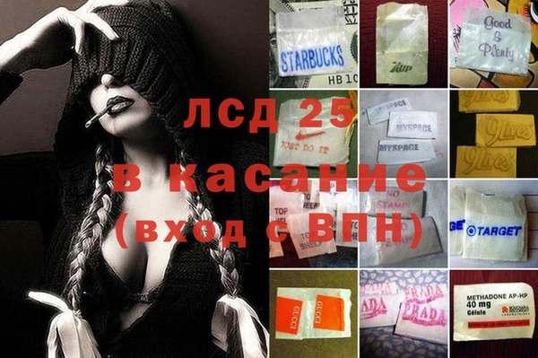 ПСИЛОЦИБИНОВЫЕ ГРИБЫ Алзамай